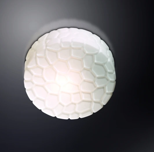 2246/2A Настенно-потолочный светильник Odeon Light Luno 2246/2A