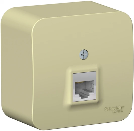 BLNIA045007 Розетка накладная Ethernet RJ-45 (бежевый) Systeme Electric Blanca BLNIA045007