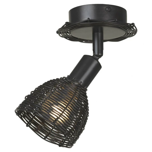 LSN-1011-01 Спот Lussole Loft Ancona LSN-1011-01