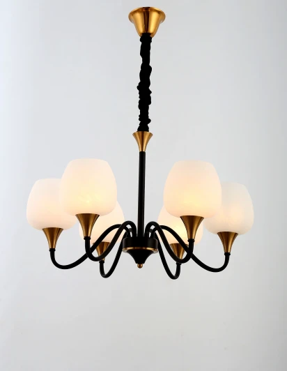 2049-206 Подвесная люстра Rivoli Emarita 2049-206