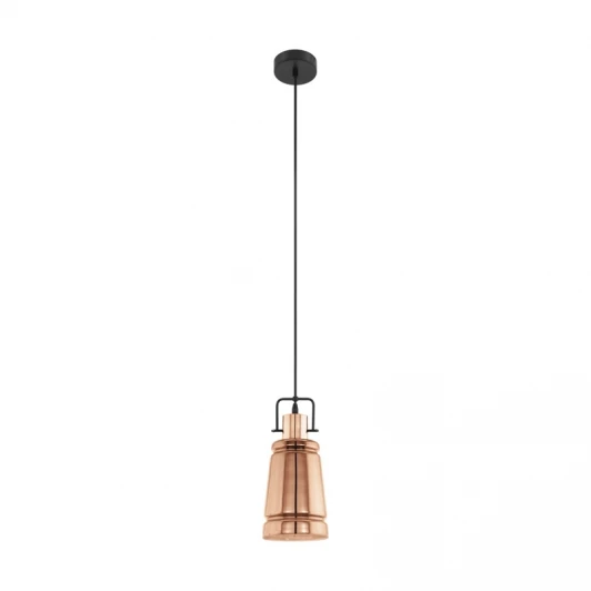 49153 Подвесной светильник Eglo Frampton 49153 (220V, на проводе, круглые)