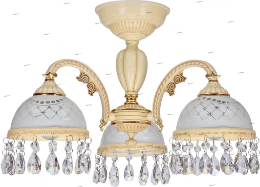 2401207/3C Adelluce 2401207 2401207/3C