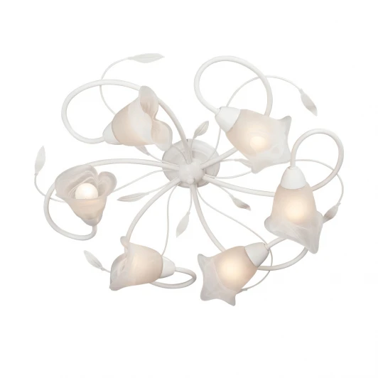 V3815-0/6PL Потолочная люстра Vitaluce V3815-0/6PL