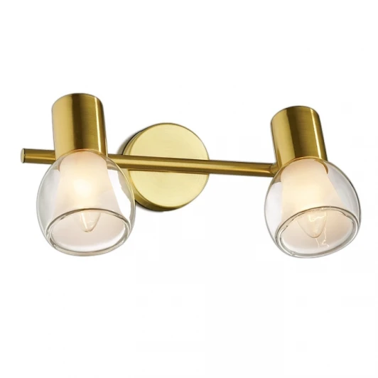 2176/2W Спот Odeon Light Moss 2176/2W