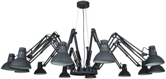 A2043SP-12BK Подвесная люстра Arte Lamp Ragno A2043SP-12BK