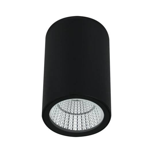A1807PF-1BK Уличные потолочные светильники Arte Lamp Torcular A1807PF-1BK (LED, 220V, круглые, IP65)
