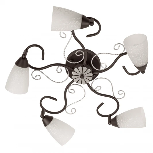 323014705 Потолочная люстра MW-Light Аида 323014705