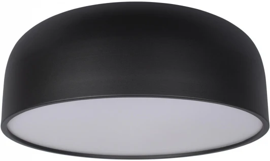 10201/480 Black Потолочный светильник Axel 10201/480 Black Loft It
