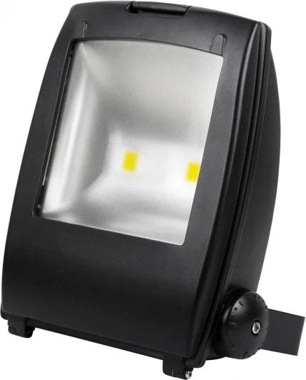 HL174L (068-002-0100) Прожектор уличный светодиодный Horoz, 1 плафон, черный с хромом и прозрачным