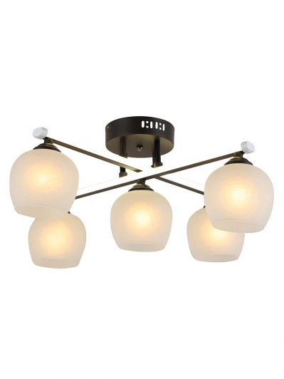 H019-5 Потолочная люстра Hiper Parma H019-5