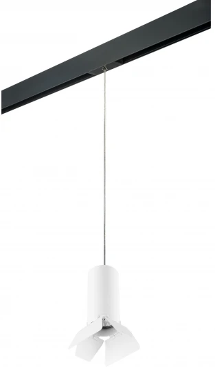 PRORP486436 Трековый светильник однофазный 220V Lightstar Rullo PRORP486436