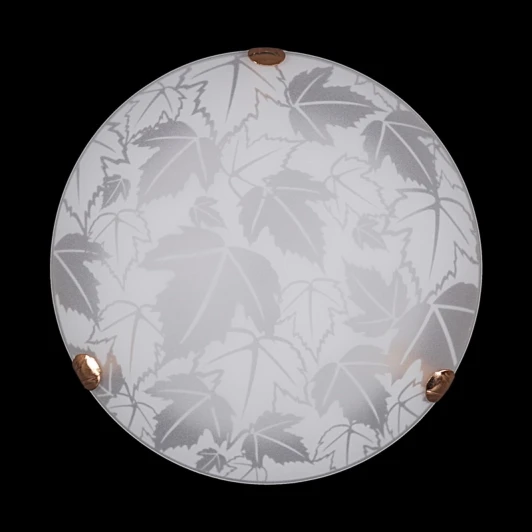 Листопад мат (300) НПБ 01-2х60-001 Настенно-потолочный светильник Sneha Листопад мат (300) НПБ 01-2х60-001 (220V, круглые)