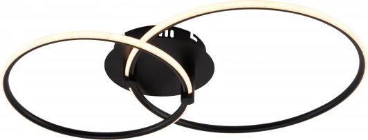 6144-101 Потолочная люстра светодиодная с пультом регулировкой цветовой температуры и яркости Rivoli Nicoleta 6144-101 (220V, круглые)