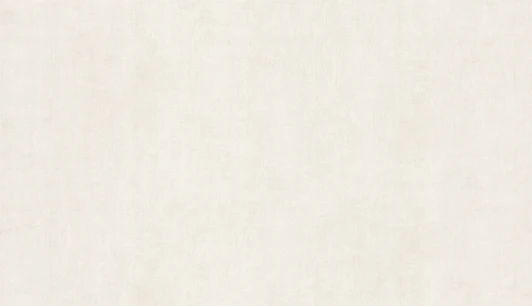 BN 418451 Обои виниловые BN International Tailor 2 BN 418451 10,05 x 1,06 м