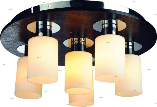 1283101/6C Snowlight 1283101 1283101/6C