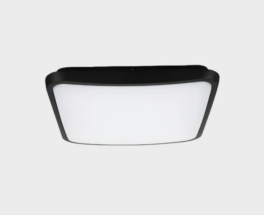 IT6012 Потолочный светильник уличный светодиодный Italline IT6012