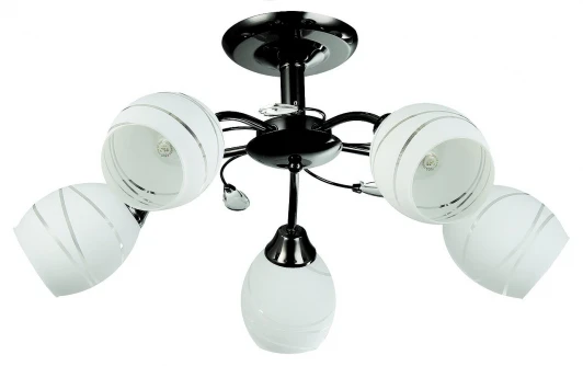 TC-300-205 Потолочная люстра Toscom Brum TC-300-205