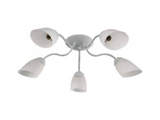 1510/5C Потолочная люстра J-Light Balu 1510/5C