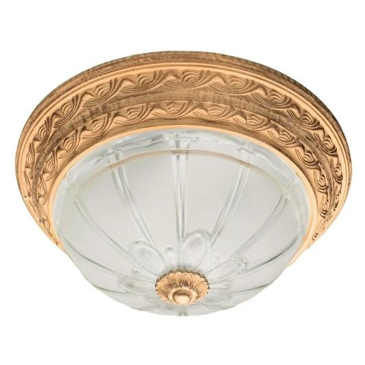 A8014PL-2WA Потолочный светильник Arte Lamp Piatti A8014PL-2WA