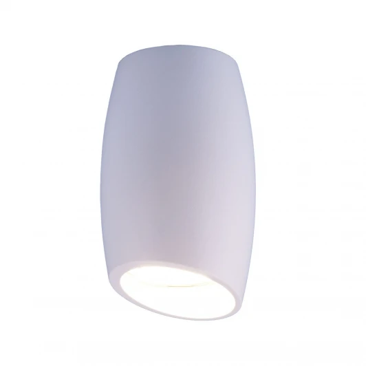 DLN002 MR16 WH белый Накладной точечный светильник Elektrostandard DLN002 MR16 WH белый (220V, круглые)