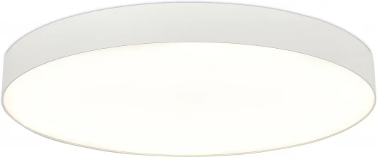 ST601.542.18 Потолочный светильник круглый светодиодный ST Luce ST601.542.18 Белый LED 1*18W (220V, круглые)