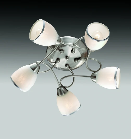 2562/5C Потолочная люстра Odeon Light Foko 2562/5C