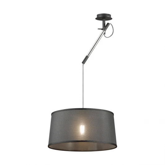 4159/1 Подвесной светильник Odeon Light Loka 4159/1