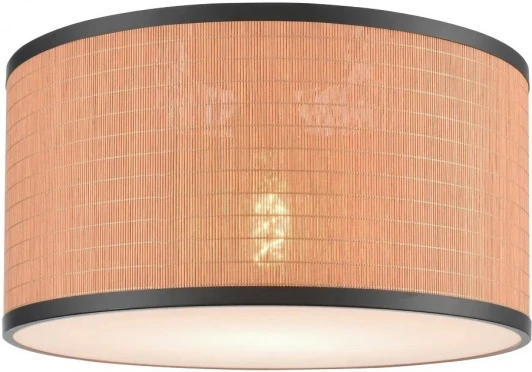 568-707-01 Потолочный светильник круглый Velante 568-707-01 (220V, круглые)