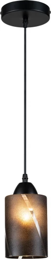 10179/1S Подвесной светильник Escada Storm 10179/1S 1x60Вт E27, металл/стекло, черный (220V, на проводе, круглые)