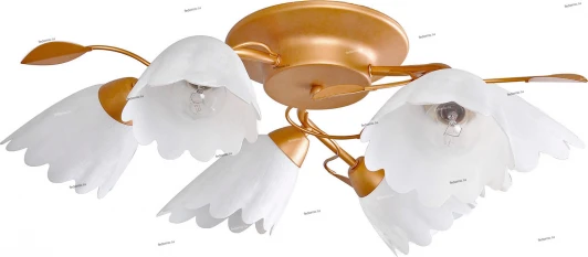 012/6PL Myone 012 012/6PL