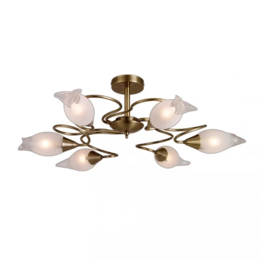 1319/6 Потолочная люстра Odeon Light Ammania 1319/6