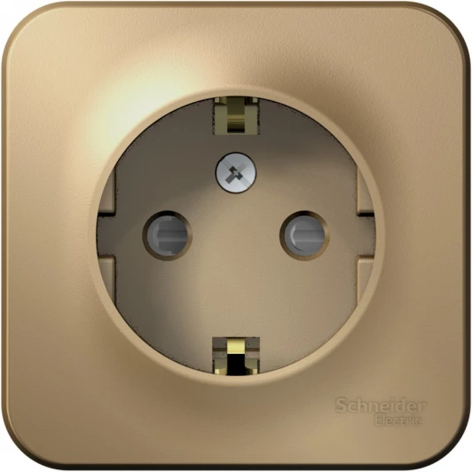 BLNRA011104 Розетка накладная с заземлением и шторками (титан) Systeme Electric Blanca BLNRA011104