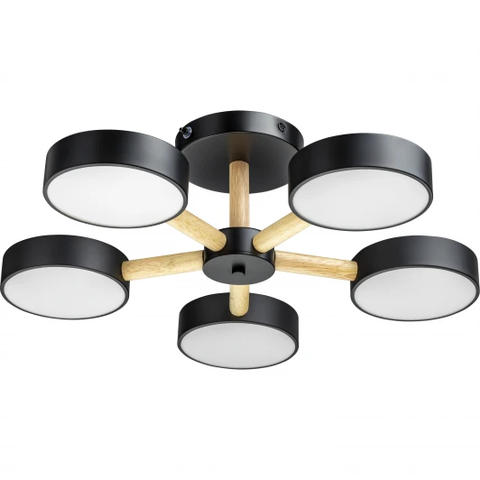 51592 4 Потолочная люстра светодиодная на штанге с ДУ Ritter Scandia 51592 4