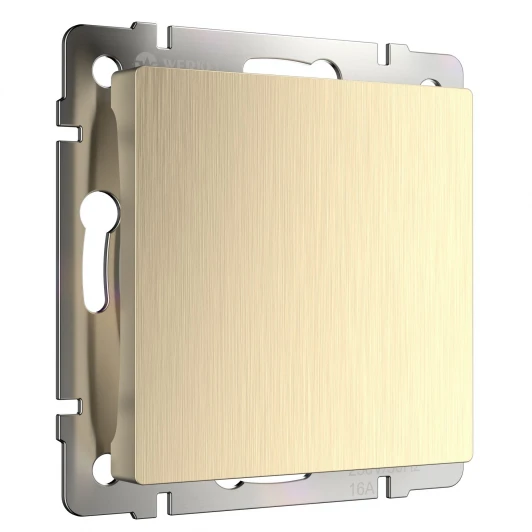 W1159210 Заглушка (шампань рифленый) Werkel W1159210 (a051417)