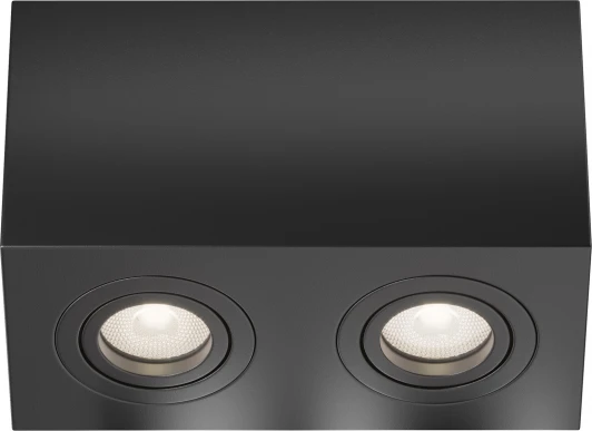 C017CL-02B Потолочный светильник Atom GU10 2x50Вт Maytoni Technical C017CL-02B (220V)