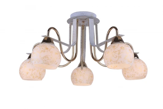 A8181PL-5WG Потолочная люстра Arte Lamp Paola A8181PL-5WG
