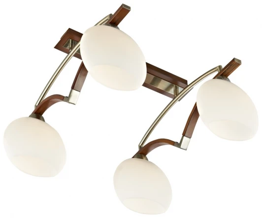 269-527-04 Потолочный светильник Velante 269 269-527-04