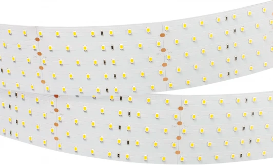 019082 Светодиодная лента RT 2-2500 24V White6000 5x2 (2835, 875 LED, LUX) (Arlight, 36 Вт/м, IP20) 019082