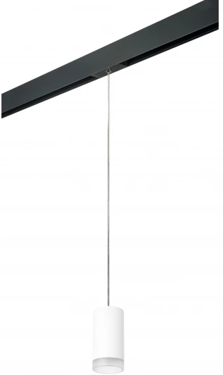 PRORP43630 Трековый светильник однофазный 220V Lightstar Rullo PRORP43630 (круглые)