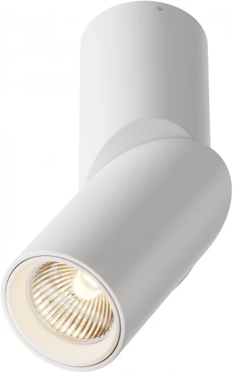 C027CL-L10W Накладной потолочный светильник Dafne 3000K 1x10Вт 38° LED Maytoni Technical C027CL-L10W (220V, круглые)