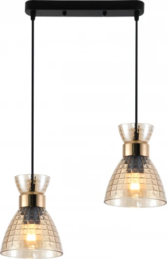 9186-302 Подвесной светильник Rivoli Iris 9186-302 2хЕ27 60 Вт модерн