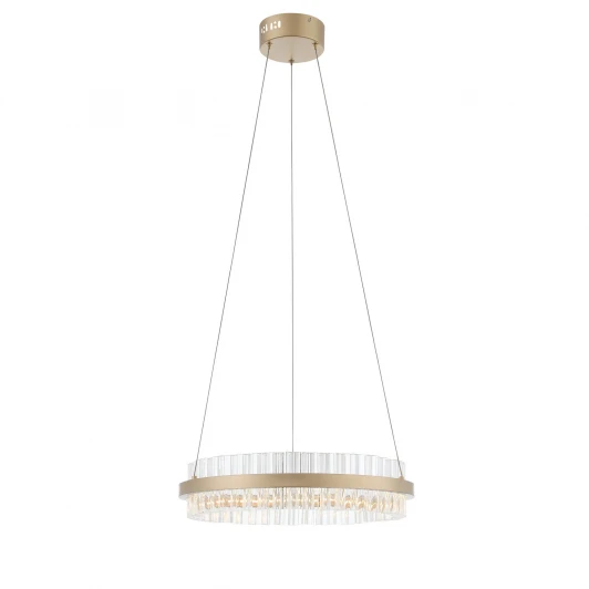 SL383.203.01 Подвесной светильник ST Luce Cherio SL383.203.01 (LED, 220V, на тросе)