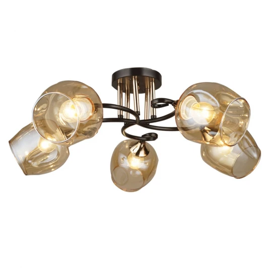 66370.01.69.05 Потолочная люстра Wedo Light Сарнано 66370.01.69.05