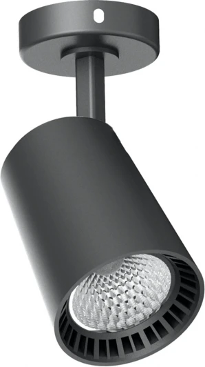 41499 Спот Feron 41499