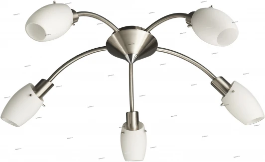 50995-17-10 Massive Usagi 50995-17-10