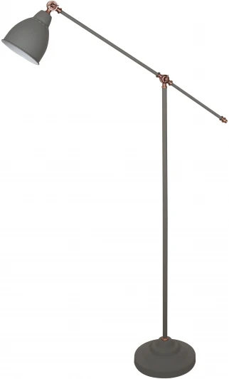 A2054PN-1GY Торшер Arte Lamp Braccio A2054PN-1GY