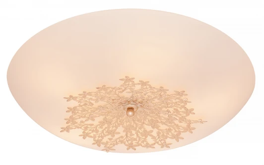 835.50.5 Настенно-потолочный светильник Silver Light Verbena 835.50.5