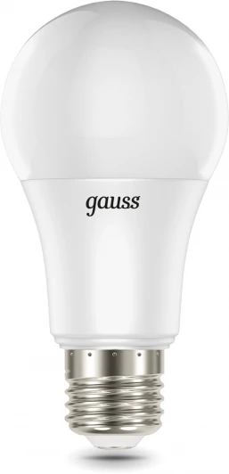 102102410 Лампочка светодиодная Gauss 102102410