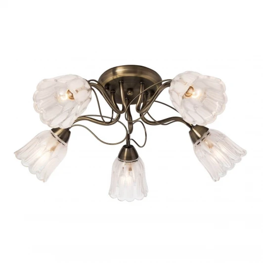 504.53.5 Потолочная люстра Silver Light Azalea 504.53.5