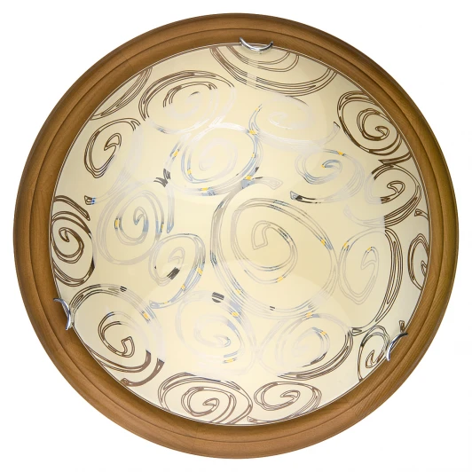 TL9600Y-00OA Настенно-потолочный светильник Toplight Flora TL9600Y-00OA